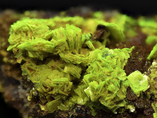 Deutschland/Baden-Württemberg/Freiburg, Bezirk/Waldshut, Landkreis/St. Blasien, Stadtgemeinde/Menzenschwand, Ortsteil/Krunkelbach