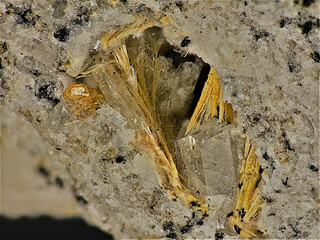 Deutschland/Rheinland-Pfalz/Mayen-Koblenz-Kreis/Mendig, Verbandsgemeinde/In den Dellen (Grube Zieglowski)