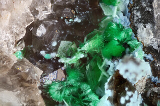 Deutschland/Sachsen/Vogtlandkreis/Bergen/Streuberg (Schacht 254)