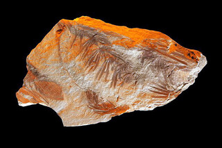 Deutschland/Thüringen/Ilm-Kreis/Ilmenau, Stadtgemeinde/Manebach, Ortsteil