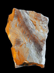 Deutschland/Thüringen/Ilm-Kreis/Ilmenau, Stadtgemeinde/Manebach, Ortsteil