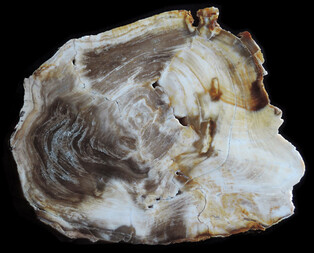 Ungarn/Borsod-Abaúj-Zemplén, Komitat/Gönc, Kreis/Arka