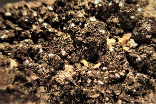 Bolivien/Cochabamba, Departamento/Chapare, Provinz/Alto Chapare Distrikt