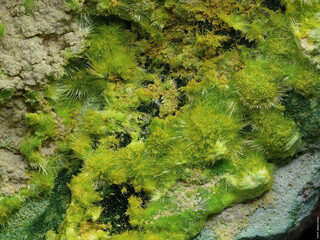 Demokratische Republik Kongo/Katanga (Shaba), Provinz/Lualaba, Distrikt/Kolwezi, Revier/Kolwezi, Stadt/Musonoi