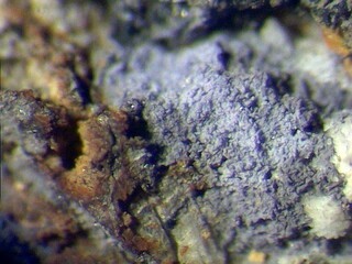 Deutschland/Niedersachsen/Goslar, Landkreis/Braunlage/St. Andreasberg, Revier/Beerberg/Grube Alter Theuerdank