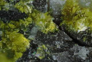 Demokratische Republik Kongo/Süd-Kivu, Provinz/Kobokobo-Pegmatit