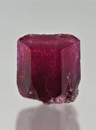 USA/Utah/Juab County/Thomas Range/Wildhorse Springs