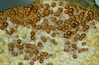 Grönland/Kommuneqarfik Sermersooq/Ivittuut (Ivigtut)/Kryolithlagerstätte (Cryolite deposit)