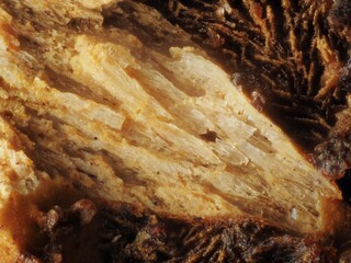 Deutschland/Bayern/Oberpfalz, Bezirk/Neustadt an der Waldnaab, Landkreis/Waidhaus, Gemeinde/Hagendorf, Ortsteil/Hagendorf-Süd (Grube Cornelia)