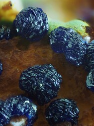 Deutschland/Baden-Württemberg/Freiburg, Bezirk/Ortenaukreis/Oberwolfach/Grube Clara