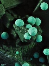 Deutschland/Baden-Württemberg/Freiburg, Bezirk/Ortenaukreis/Oberwolfach/Grube Clara