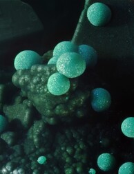 Deutschland/Baden-Württemberg/Freiburg, Bezirk/Ortenaukreis/Oberwolfach/Grube Clara