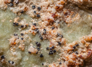 Griechenland/Südliche Ägäis (Νότιο Αιγαίο)/Rhodos, Insel/Kallithea, Gemeindebezirk/Vrisia/Serpentinitsteinbruch