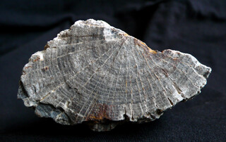 Österreich/Niederösterreich/Hollabrunn, Bezirk