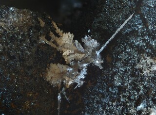 Deutschland/Baden-Württemberg/Freiburg, Bezirk/Ortenaukreis/Oberwolfach/Grube Clara