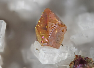 Deutschland/Nordrhein-Westfalen/Köln, Bezirk/Oberbergischer Kreis/Nümbrecht/Wirtenbach/Stbr. Schretzmair (Büschhof)