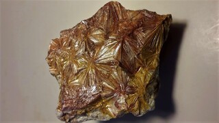 USA/Kalifornien (California)/Mariposa County/West Belt/Hornitos Mining District/Santa Cruz Mountain/Indian Gulch