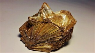 USA/Kalifornien (California)/Mariposa County/West Belt/Hornitos Mining District/Santa Cruz Mountain/Indian Gulch