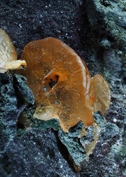 Deutschland/Rheinland-Pfalz/Birkenfeld, Landkreis/Herrstein-Rhaunen, Verbandsgem./Niederwörresbach/Steinbruch Juchem/Hungerwand