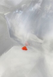 Belgien/Wallonie/Lüttich (Liège; Luik), Provinz/Verviers, Bezirk/Plombières-Vieille Montagne (Plombières-Altenberg), Distrikt/Kelmis (La Calamine)/Moresnet/Vieille Montagne (Altenberg)