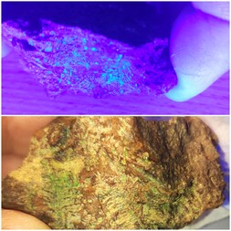 Deutschland/Sachsen/Erzgebirgskreis/Schneeberg, Lagerstätte/Neustädtel/Weißer Hirsch (Schacht 3)