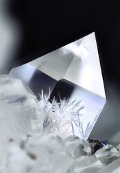 Deutschland/Rheinland-Pfalz/Bad Kreuznach, Landkreis/Kirn/Steinbruch Hellberg (Pfeiffer)