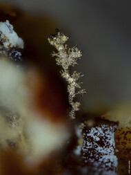 Deutschland/Baden-Württemberg/Freiburg, Bezirk/Ortenaukreis/Oberwolfach/Grube Clara