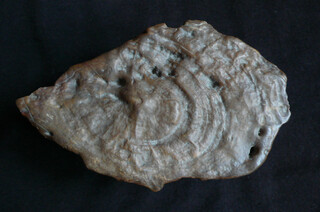 Saudi-Arabien/Riad (ar-Riyad), Provinz