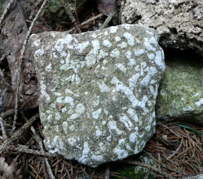 Österreich/Niederösterreich/Horn, Bezirk/Sigmundsherberg/Rodingersdorf/Miozäne Sedimente in der Ortsumgebung