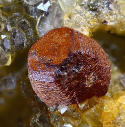 Deutschland/Sachsen/Mittelsachsen, Landkreis/Freiberg, Revier/Halsbrücke/Lorenz Gegentrum