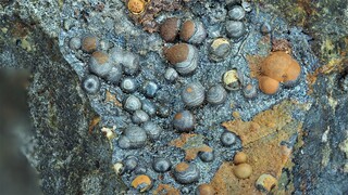 Deutschland/Hessen/Gießen, Bezirk/Gießen, Landkreis/Annerod