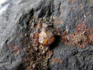 Österreich/Niederösterreich/Gänserndorf, Bezirk/Marchtal/Pleistozäne Marchschotter