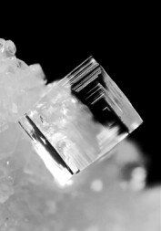 Italien/Toskana (Toscana)/Massa-Carrara, Provinz/Carrara/Miseglia-Fantiscritti Basin/Cava di Fantiscritti