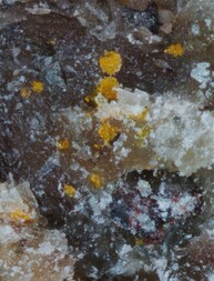 Deutschland/Baden-Württemberg/Freiburg, Bezirk/Ortenaukreis/Oberwolfach/Grube Clara