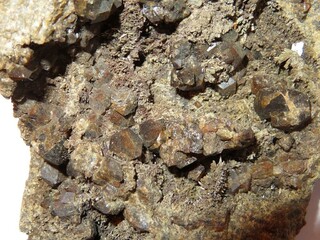 Deutschland/Thüringen/Saale-Orla-Kreis/Hirschberg/Sparnberg