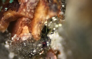 Deutschland/Baden-Württemberg/Freiburg, Bezirk/Rottweil, Landkreis/Schenkenzell, Gemeinde/Kaltbrunn, Ortsteil/Wittichen/Schmiedestollenhalde