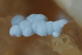 Deutschland/Baden-Württemberg/Freiburg, Bezirk/Ortenaukreis/Oberwolfach/Grube Clara