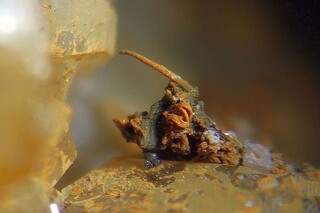 Deutschland/Niedersachsen/Goslar, Landkreis/Braunlage/St. Andreasberg, Revier/Beerberg/Grube Alter Theuerdank