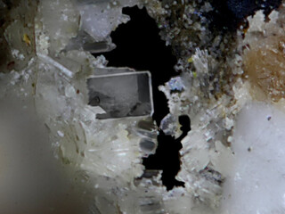 Deutschland/Bayern/Oberpfalz, Bezirk/Neustadt an der Waldnaab, Landkreis/Waidhaus/Hagendorf/Hagendorf-Süd (Grube Cornelia)