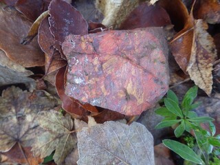 Deutschland/Niedersachsen/Göttingen, Landkreis/Walkenried, Gemeinde/Zorge, Ortsteil/Jeremiashöhe