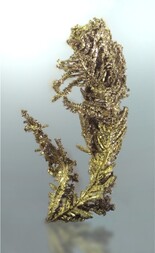 UK/England/Devon Co./South Devon/Torquay/Hope's Nose