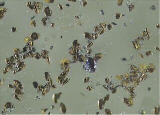 Deutschland/Baden-Württemberg/Freiburg, Bezirk/Ortenaukreis/Offenburg/Kieswerk