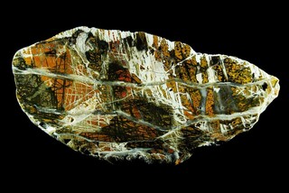 Deutschland/Rheinland-Pfalz/Bernkastel-Wittlich, Landkreis/Arenrath/Kiesgruben in Arenrath und Umgebung