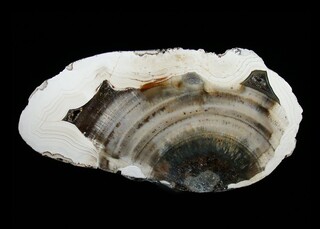 Deutschland/Rheinland-Pfalz/Bernkastel-Wittlich, Landkreis/Arenrath/Kiesgruben in Arenrath und Umgebung