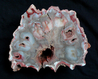 Simbabwe/Midlands, Provinz/Gokwe South, Distrikt/Gokwe Petrified Forest