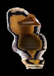 Neuseeland/South Island/Canterbury, Region/Mount Somers/Rangiatea Station