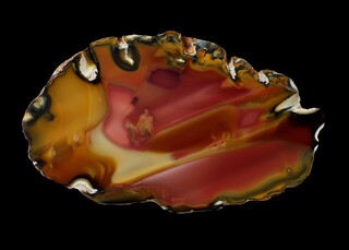 Neuseeland/South Island/Canterbury, Region/Mount Somers/Rangiatea Station