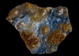 Neuseeland/South Island/Otago, Region/Moeraki/Nimmo's Swamp