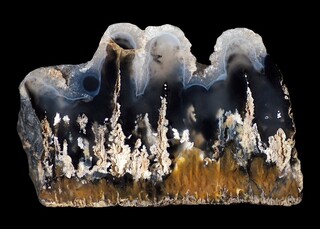 Neuseeland/South Island/Otago, Region/Moeraki/Nimmo's Swamp