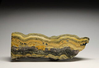 Deutschland/Sachsen/Mittelsachsen, Landkreis/Freiberg, Revier/Halsbrücke